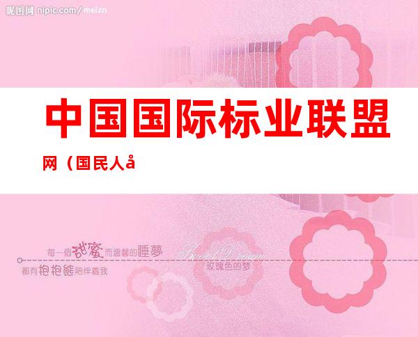中国国际标业联盟网（国民人寿公司）